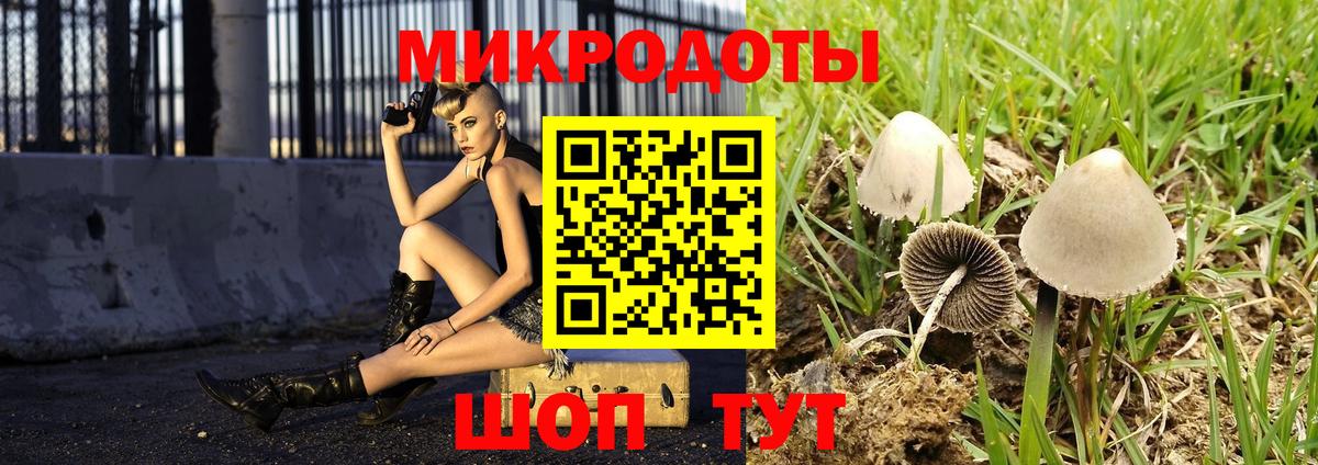 Псилоцибиновые грибы Cubensis  Вход с VPN  Ивантеевка 