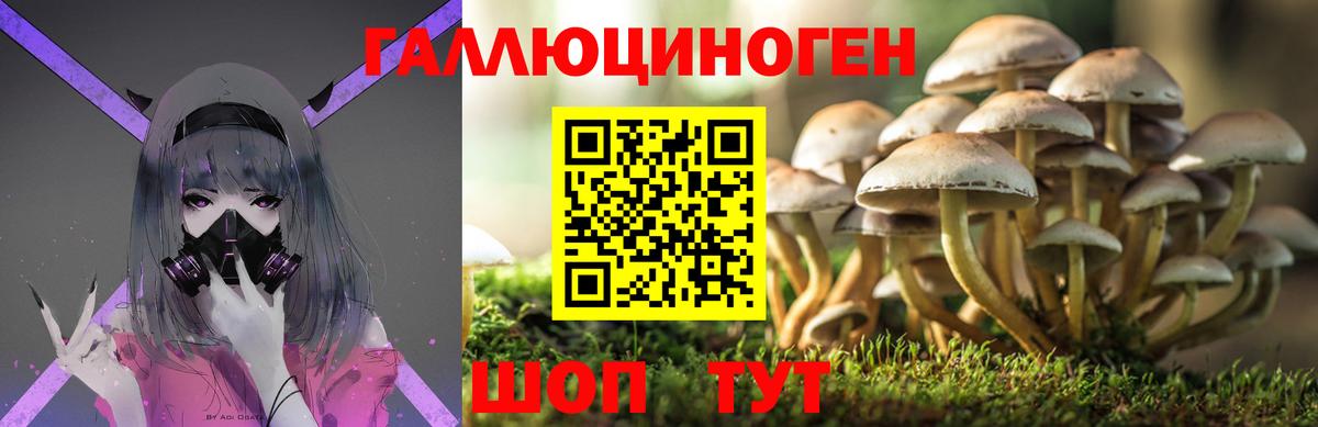 Галлюциногенные грибы прущие грибы Ивантеевка